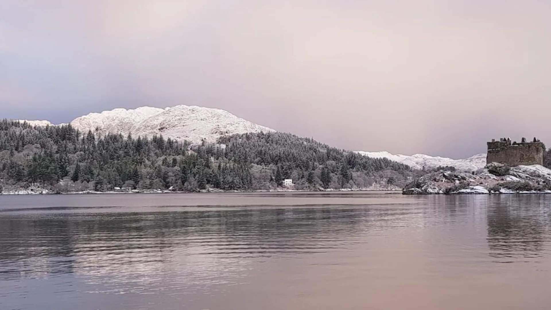 Birds on Eilean Shona in Winter