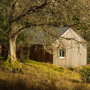 Timber Cottage
